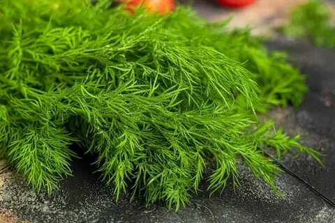 قیمت عمده فروشی سبزی شوید خشک صادراتی + ارسال سریع